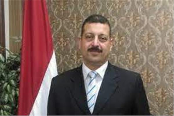 الدكتور أيمن حمزة المتحدث باسم وزارة الكهرباء