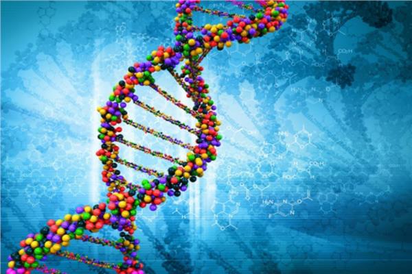 البحث العلمي : 98% من البشر متشابهين في الجينات