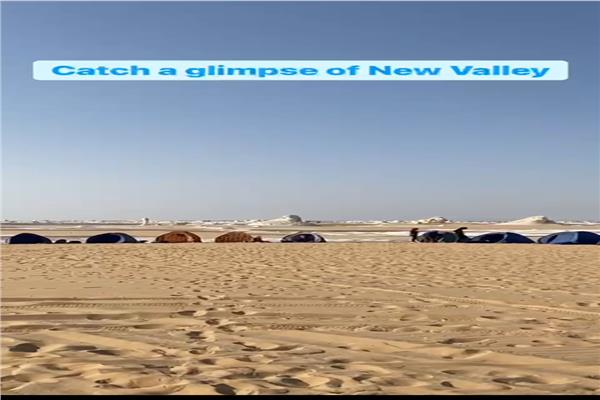 محافظة الوادي الجديد تحتفل اليوم بعيدها القومي السياحة