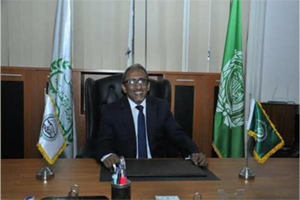السفير محمدى أحمد الني الأمين العام لمجلس الوحدة الاقتصادية