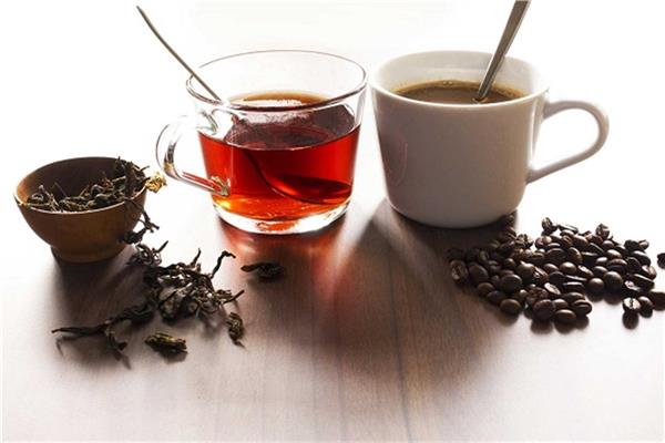 نقيب الفلاحين: يمكن زراعة الشاي والقهوة في مصر