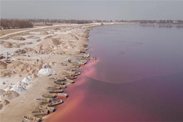 كوارث التغيرات المناخية.. البحيرة الوردية في السنغال تفقد لونها