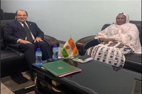 السفير سيد الصلاحي خلال لقاءه بوزيرة البيئة ومكافحة التصحر النيجرية