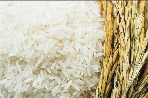  استلام محصول الأرز