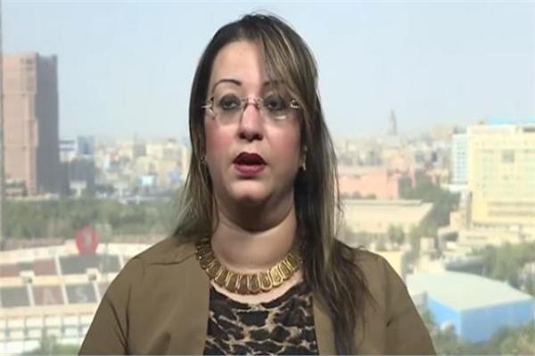 الدكتور هبة البشبيشي، أستاذ العلوم السياسية