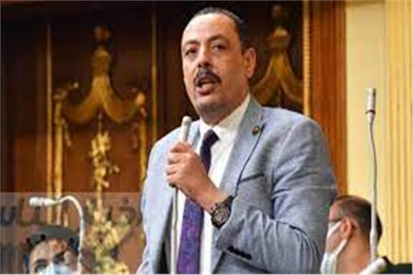 النائب أشرف أمين عضو مجلس النواب 