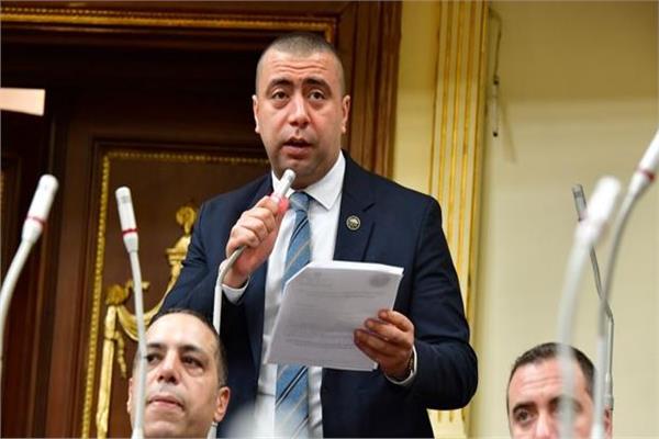 أحمد بهاء رئيس الهيئة البرلمانية لحزب حماة الوطن