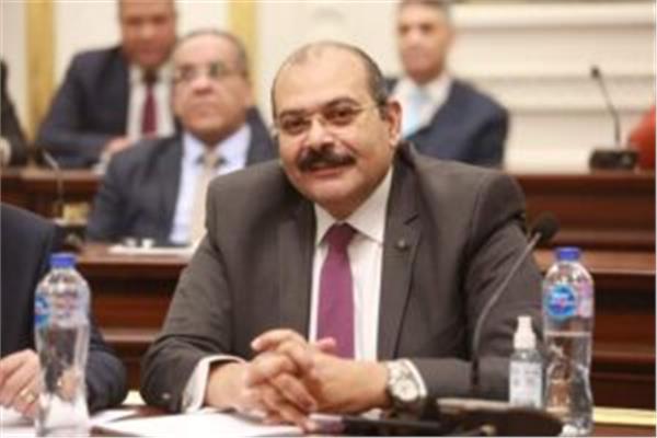  النائب الدكتور محمود صلاح عضو مجلس الشيوخ