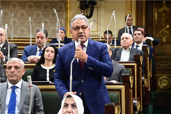 رئيس محلية النواب النائب أحمد السجيني