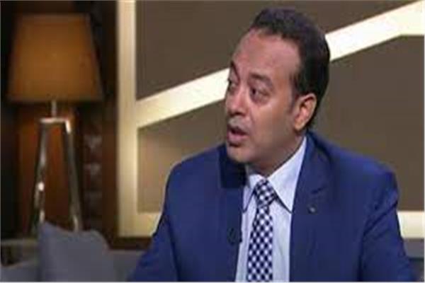 دكتور حامد فارس أستاذ العلاقات الدولية والعربية