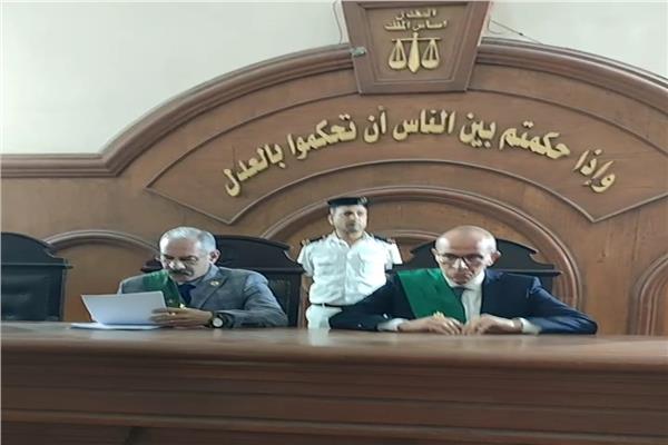 هيئة المحكمة  برئاسة المستشار ياسر الوصيف