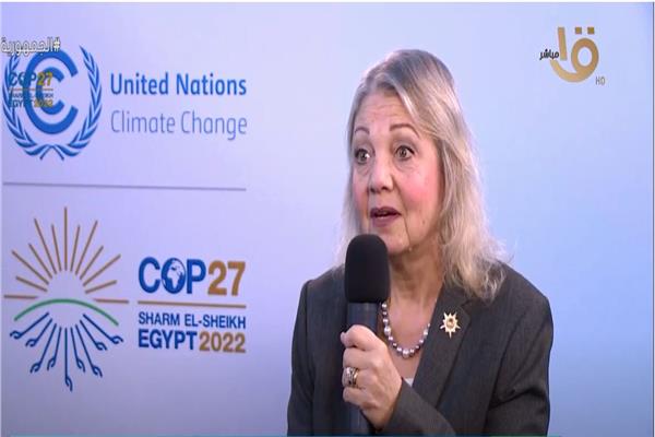 الدكتورة منى جمال الدين عميد كلية الطاقة والبيئة