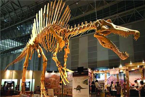  إلغاء بيع هيكل ديناصور لتأجيره