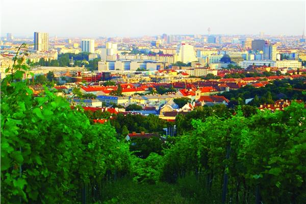 النمسا تكافح تغير المناخ بغابات صغيرة