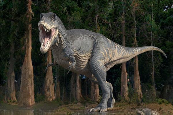 سر إلغاء مزاد لـ«ديناصور ضخم» في آسيا