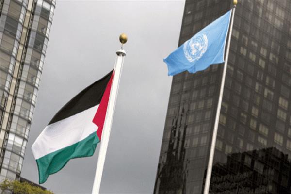 علما الأمم المتحدة وفلسطين