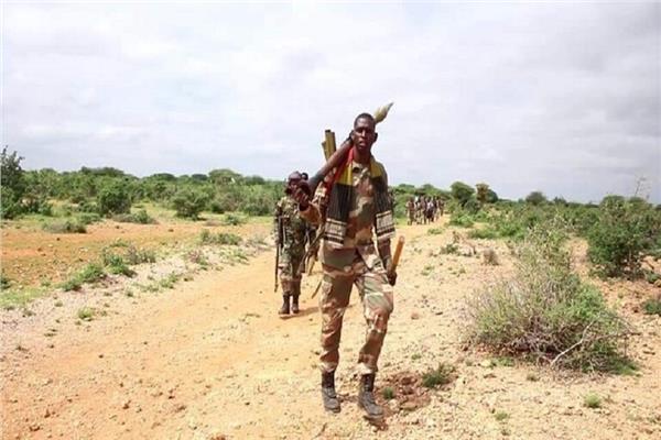 مقتل 40 عنصرا من تنظيم حركة الشباب الإرهابي بالصومال