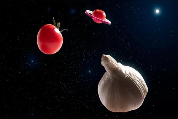 الطماطم الفضائية