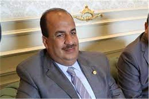 محمد عبد الحميد وكيل لجنة الشئون الاقتصادية