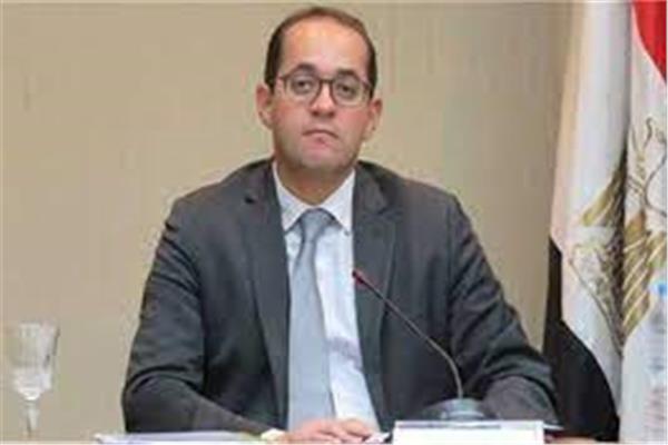  أحمد كجوك، نائب وزير المالية