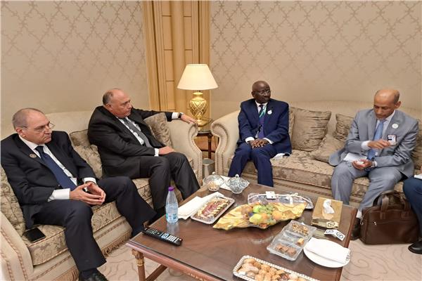 «شكرى» يلتقى وزير الشئون الخارجية والتعاون الموريتاني بالرياض