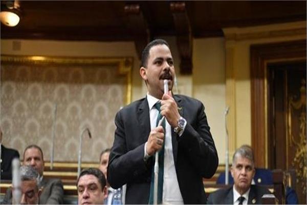 رئيس الأغلبية البرلمانية النائب أشرف رشاد
