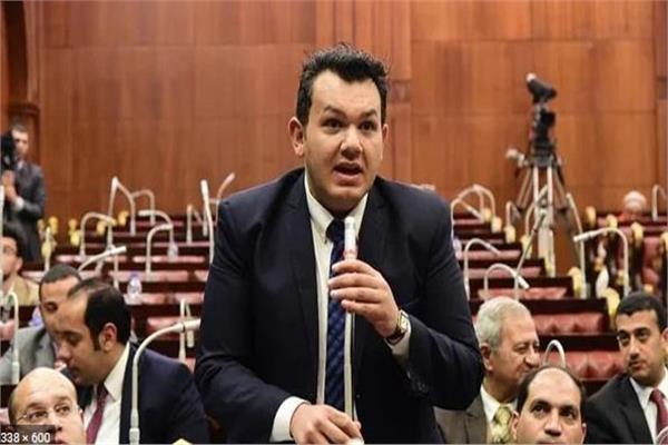 أحمد مقلد، عضو مجلس النواب عن تنسيقية شباب الأحزاب