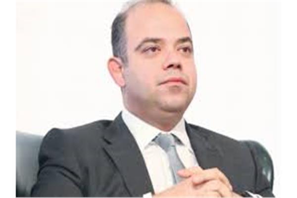 الدكتور محمد فريد رئيس هيئة الرقابة المالية 