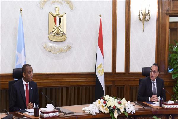 رئيسا الوزراء المصري والصومالي خلال جلسة مباحثات موسعة