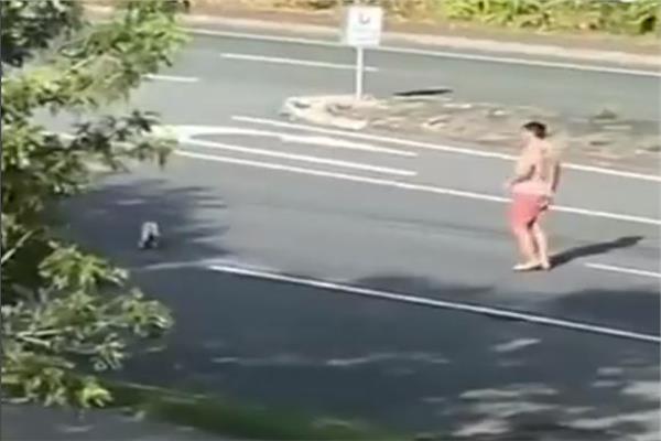 فيديو يخطف القلوب.. شاب يوقف طريقًا لعبور «الكوالا»