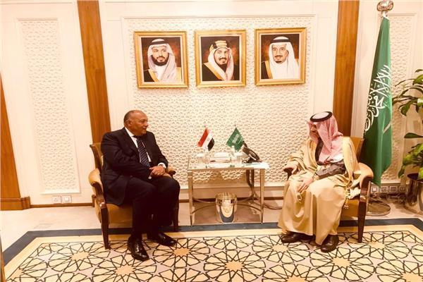 لقاء وزيرا الخارجية المصري والسعودي