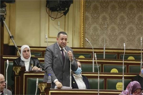  النائب تامر عبد القادر عضو مجلس النواب