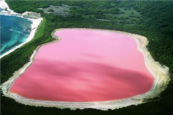 بحيرة هيلير الوردية