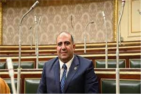  محمد سليم عضو لجنة الصحة بمجلس النواب