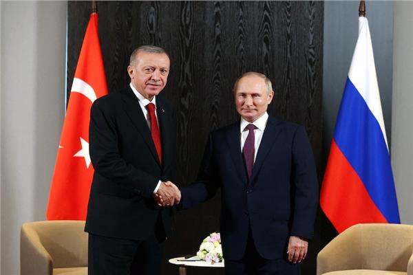 فلاديمير بوتين ورجب طيب أردوغان 
