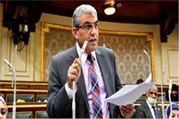 النائب عادل عبد الفضيل ، رئيس لجنة القوى العاملة بمجلس النواب