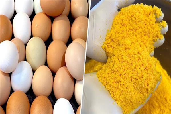مسحوق البيض البودر على البروتين
