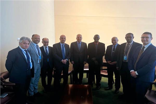 سويلم يلتقى وزير الري والموارد المائية السودانى