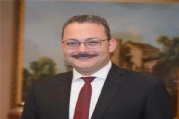 الدكتور سمير صبري مقرر لجنة الاستثمار الخاص المحلي والأجنبي بالحوار الوطني