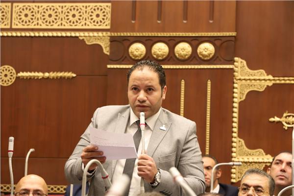 النائب مصطفي سالمان عضو مجلس الشيوخ