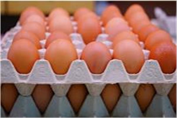 سعر «كرتونة البيض» اليوم  - صورة أرشيفية
