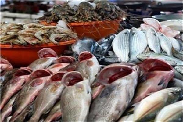 أسعار الأسماك بسوق العبور