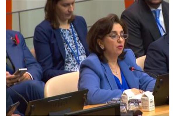 سيما بحوث المديرة التنفيذية لهيئة الأمم المتحدة للمرأة