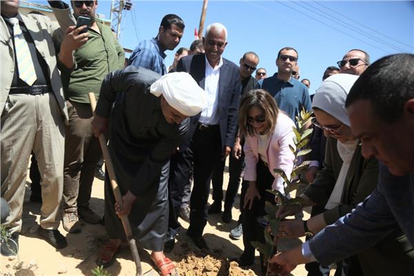 افتتاح المشروعات بمحافظة شمال سيناء