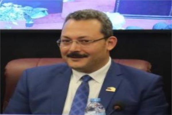 الدكتور سمير صبري، مقرر لجنة الاستثمار الخاص المحلي والأجنبي بالحوار الوطني
