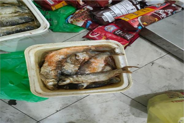 ضبط 24 طن لحوم ومصنعاتها وأسماك مملحة فاسدة غير صالحة للاستهلاك الأدمي بالجيزة