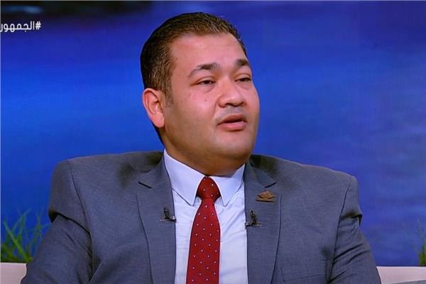 الدكتور محمد عمارة عضو مجلس الشيوخ