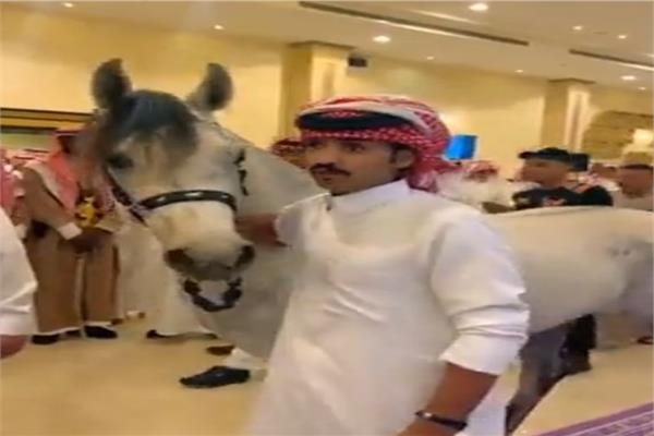 شاب سعودي يهدي صديقه حصانًا في ليلة زفافه