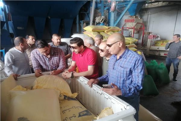 ضبط نصف طن من الأقماح المحلية داخل مصنع لتصنيع الاعلاف بطنطا