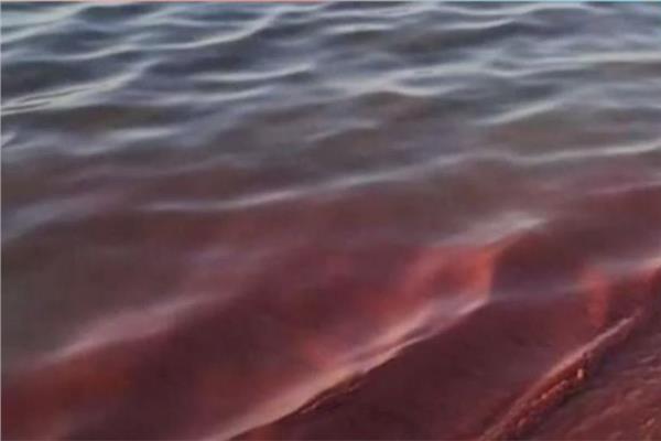 تغير مياه البحر الأحمر للون الوردي